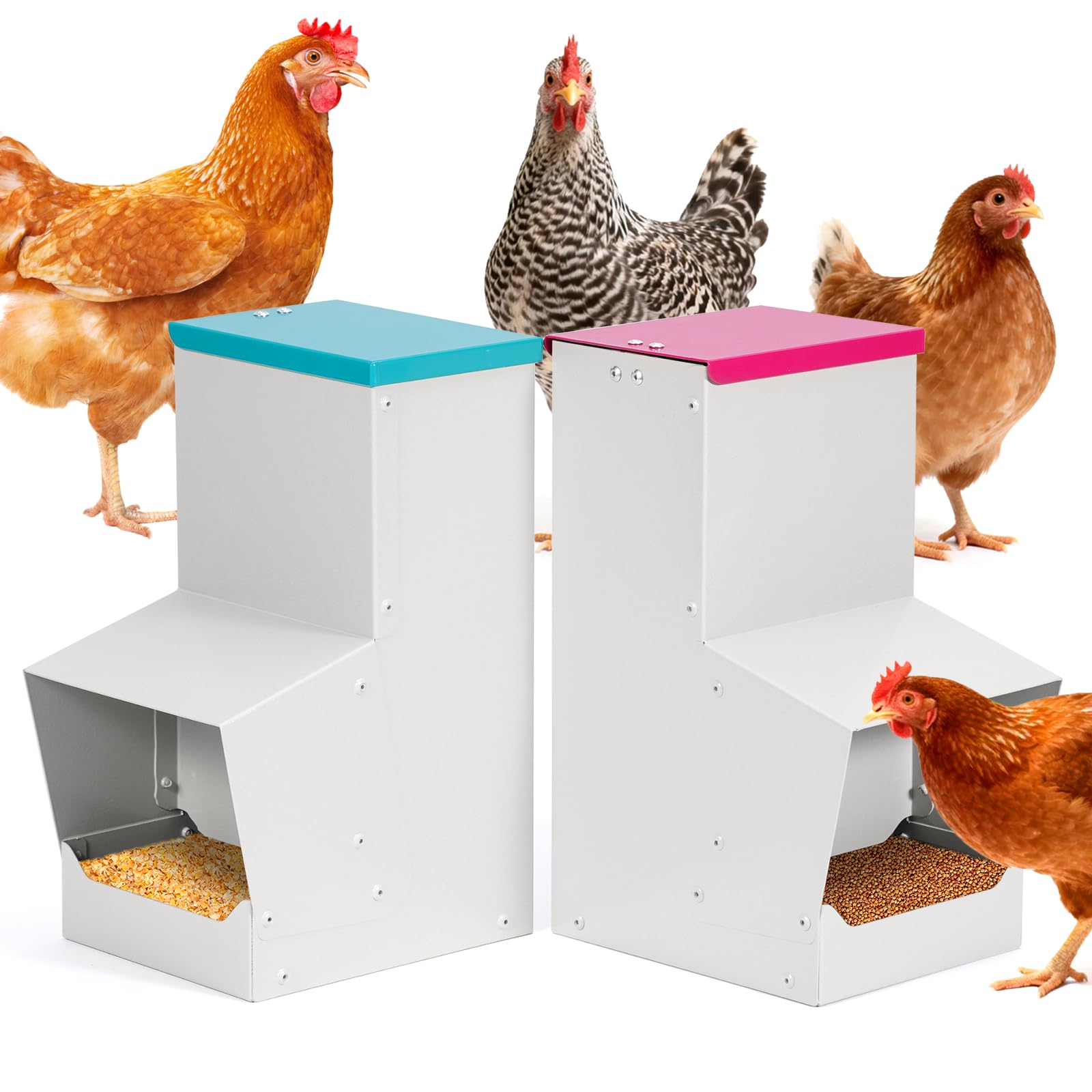 Comedero automático para Pollos de 10 litros, alimentación por Gravedad para Aves de Corral con Arena y Conchas de ostras, comederos para gallinas ponedoras para una Mejor Calidad