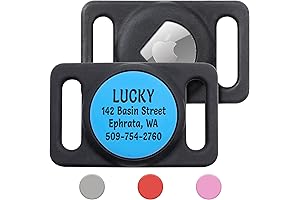 GoTags Engraved AirTag Dog Collar Holder