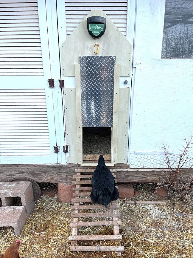 15/mo Finance Brinsea ChickSafe Eco Automatic Chicken Coop Door