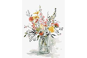 Kits for Adults Paint by Number for Beginner - Paint by Numbers...