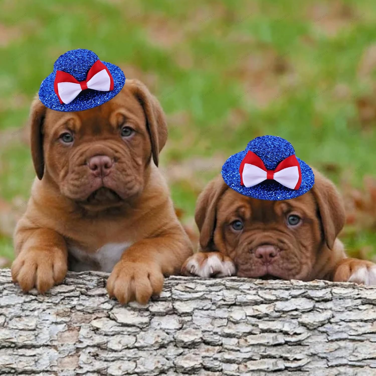4th of July Red White Bowknot Blue Glitter Pet Hat Independence Day Dog Hat Adjustable Rope Buckle Cat Cap Patriotic Pet Accessories for Most Pets Patriotic Memorial Day