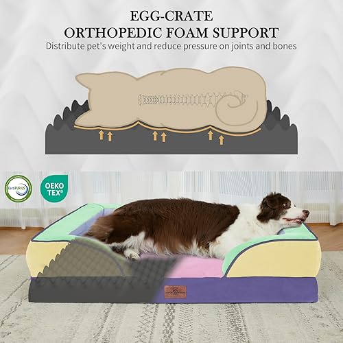 Miniatura 402 de Comfort Expression - Cama ortopédica para perros extragrandes, 53 x 42 pulgadas, cama impermeable y de apoyo de espuma con cojines removibles, con