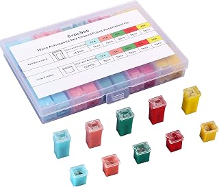 CrocSee 30 Pack Car Fuses Assortment Kit: Standard & Low Profile Box Fuses 20-60A for Cars, Trucks, SUVs, RVs