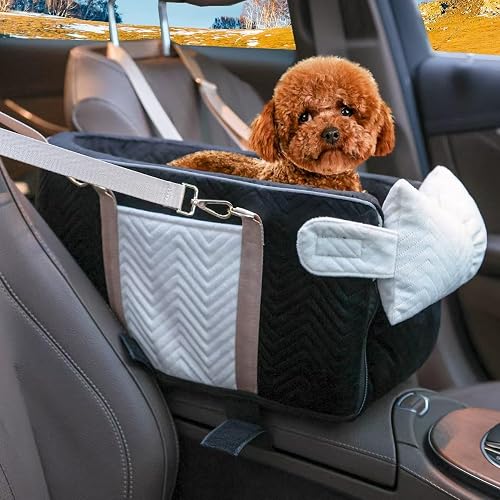 Dog Homsunyi car seat