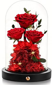 Agrul Birthday Gifts for Women Forever Preserved Flowers Roses in Glass Dome for Women Mom Wife Girlfriend Daughter Birthday Gifts/Red Rose