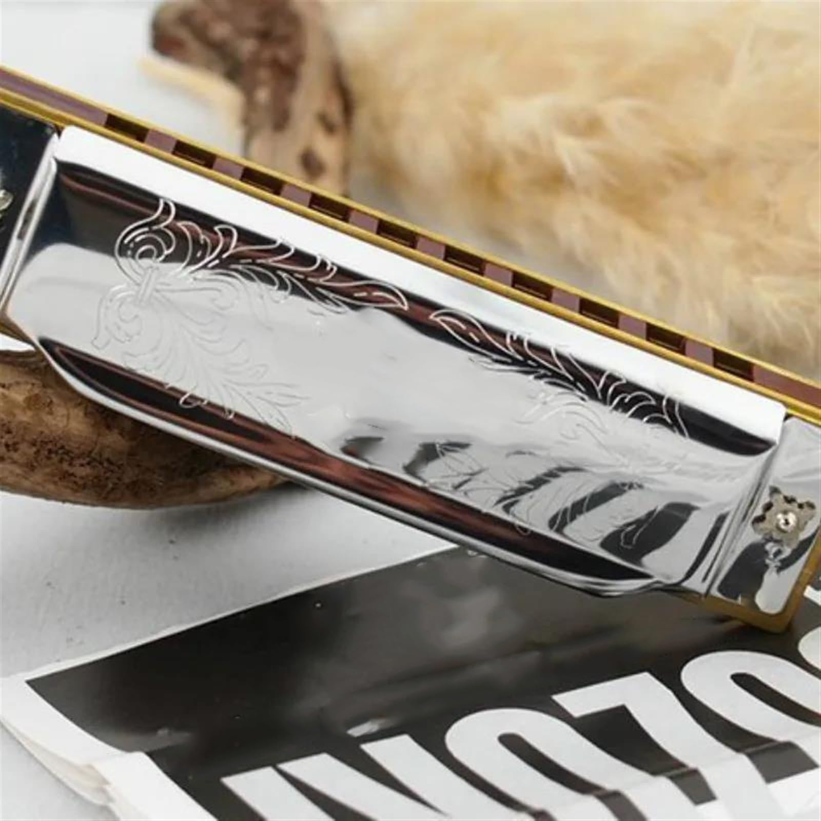 Harmonijka 10-otworowa harmonijka diatoniczna bluesowa C Key Harp Instrument dęty drewniany odpowiedni dla początkujących