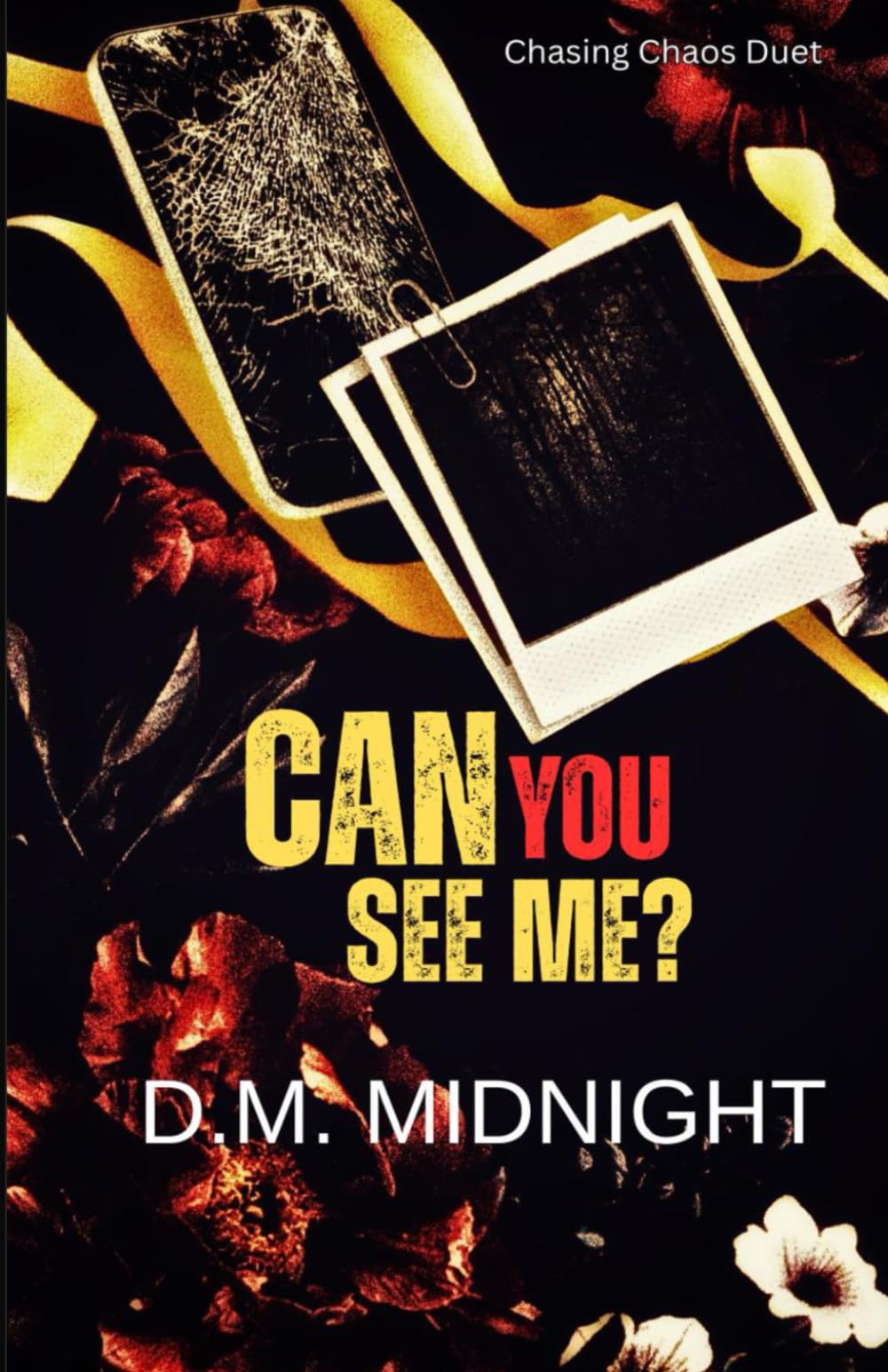 Can You See Me: Chasing Chaos Duet Book One