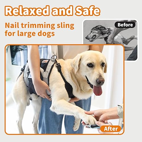 Miniatura 9 de Arnés de elevación para perros grandes, portador de cuerpo completo con asa, hasta 60 libras, para escaleras, soporte de patas traseras, lesiones en