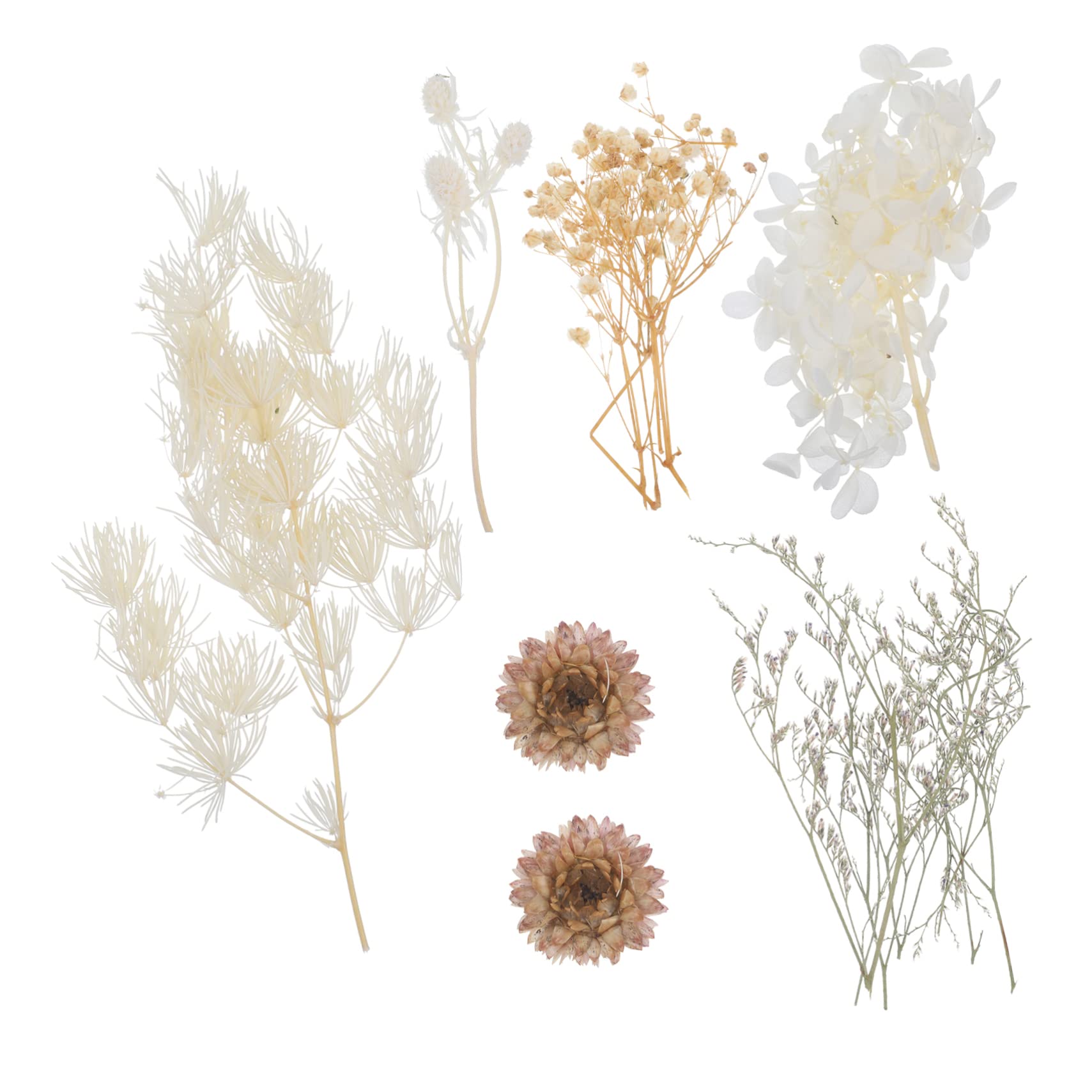 STOBAZA 4sätze Getrocknete Blumen Für -projekte Gepresste Blumen Für Resin Kerzen Und Kreative Bastelideen Für Kunsthandwerk Und Dekoration