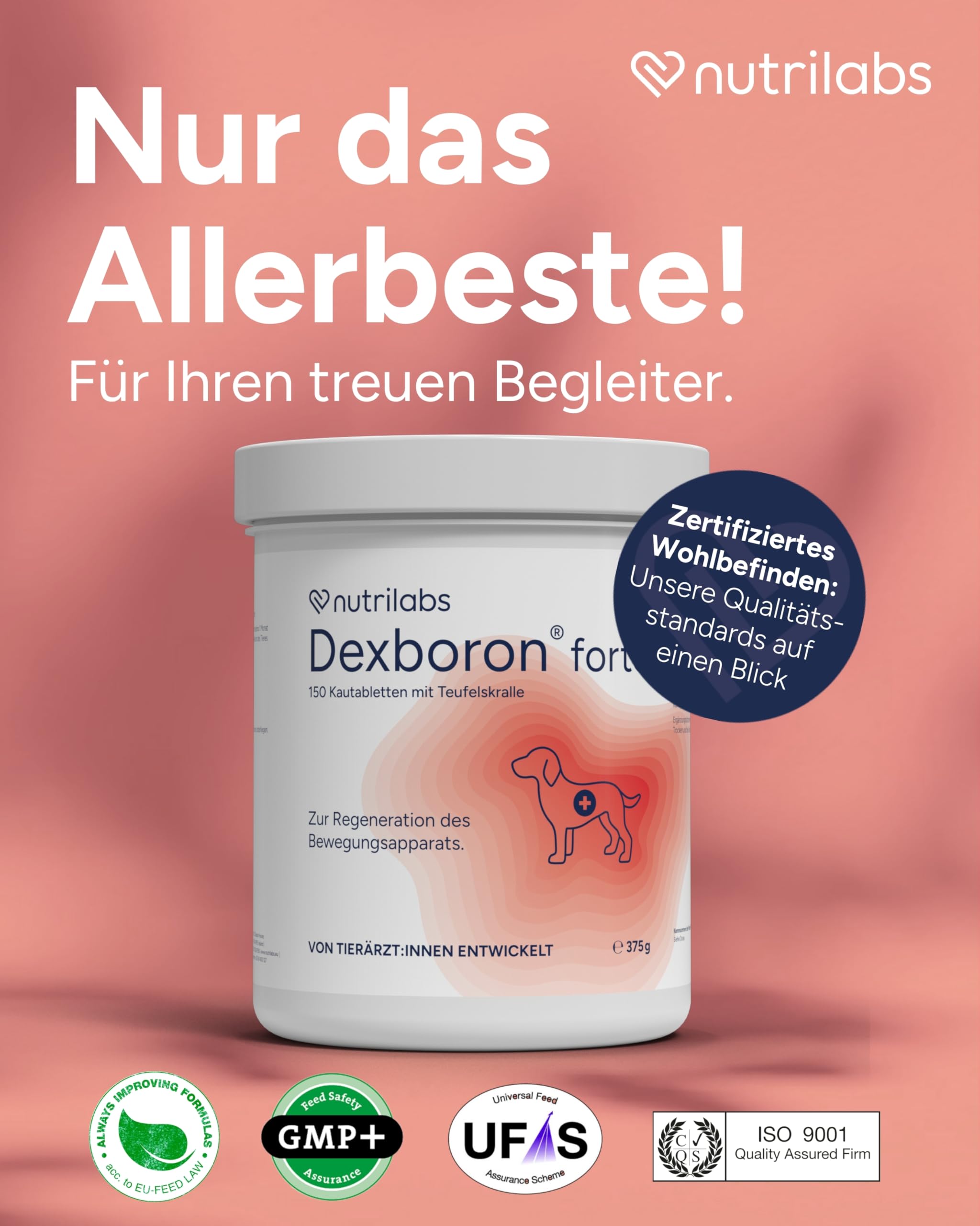 NutriLabs Dexboron forte Hunde Kautabletten 150 STK. - Tabletten mit Teufelskralle - Regenerationsmittel mit Weidenrinde, Weihrauchextrakt u.v.m.