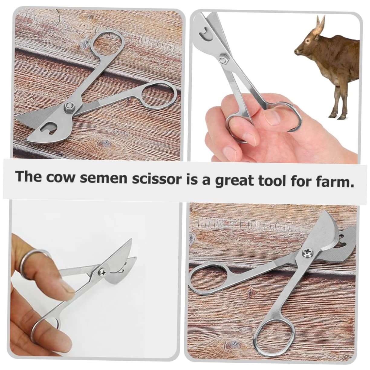 SEWACC 4 Stück Kuhsamenschere Rindersamenschere Feinrohrschere Für Rinder Viehschere Samenschneider Für Rinder Astschere Für Rindersperma Nutztierbedarf Rostfreier Stahl Silver