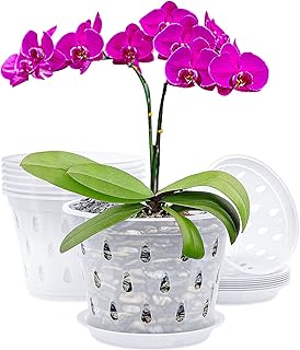 Orchid Pot, 7 Inch 8 Pack Orchid Pots with Drainage Holes and Saucers Clear Plastic Orchid Pots Provide Good Air Circulation Garden Planters Pots for Indoor and Outdoor Use