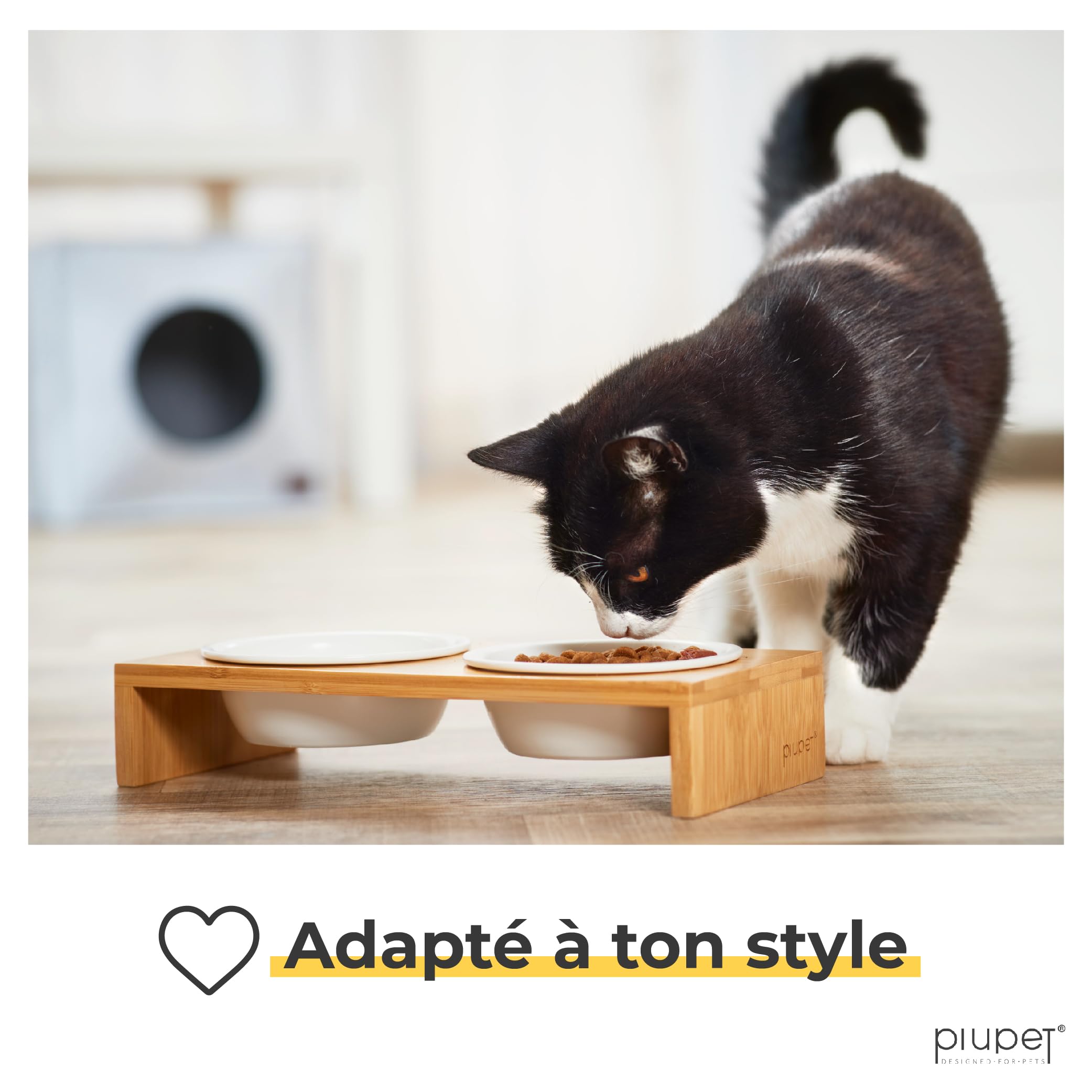 PiuPet® Gamelle 250ml I Support avec 2 Bols I Gamelle Chat surélevée I ceramique I Bol pour Petit Chien