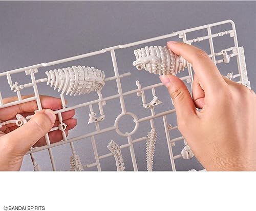 Miniatura 15 de Bandai Hobby - Plannosaurus - Kit de modelo de dinosaurio anquilosaurio #06