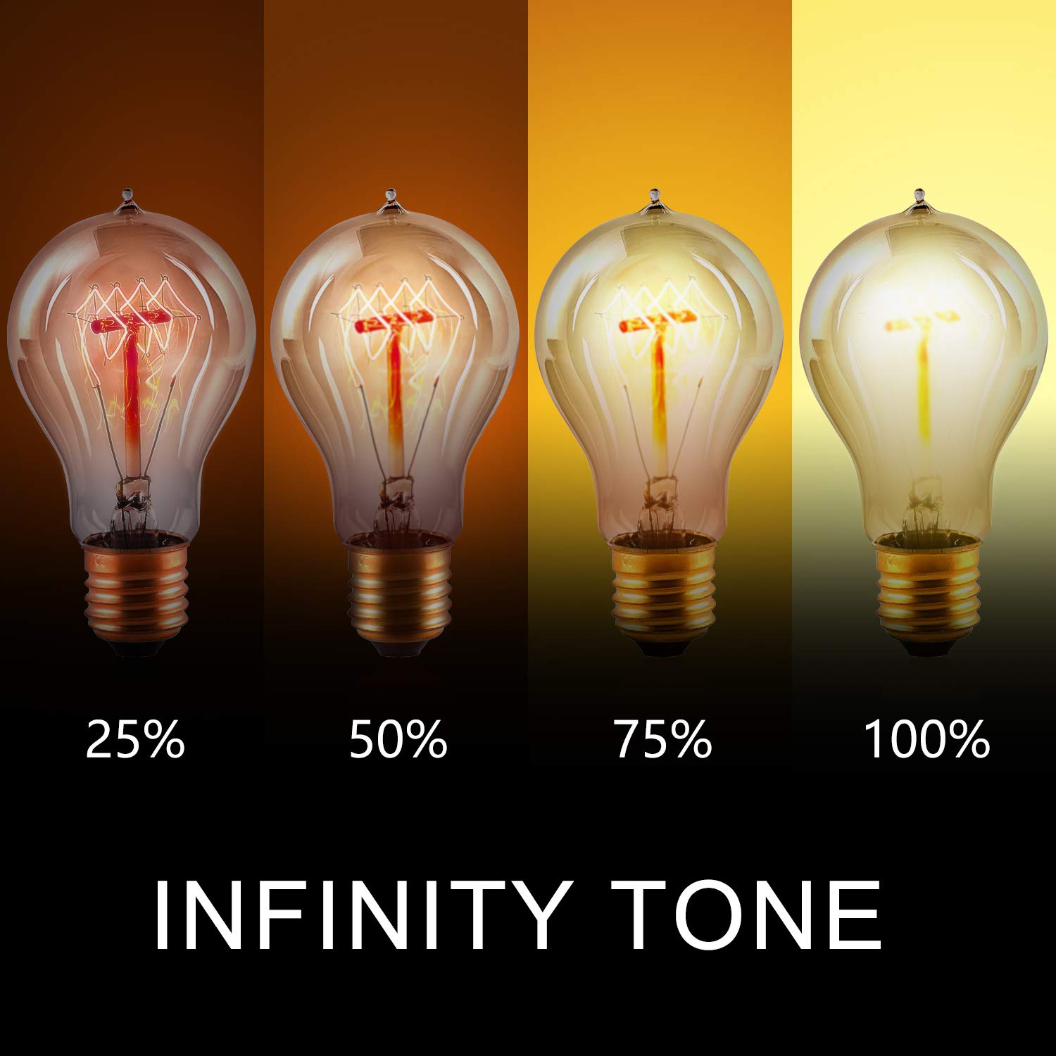 HESSION Edison Light Bulbs, A19 led 40w Vintage Antique