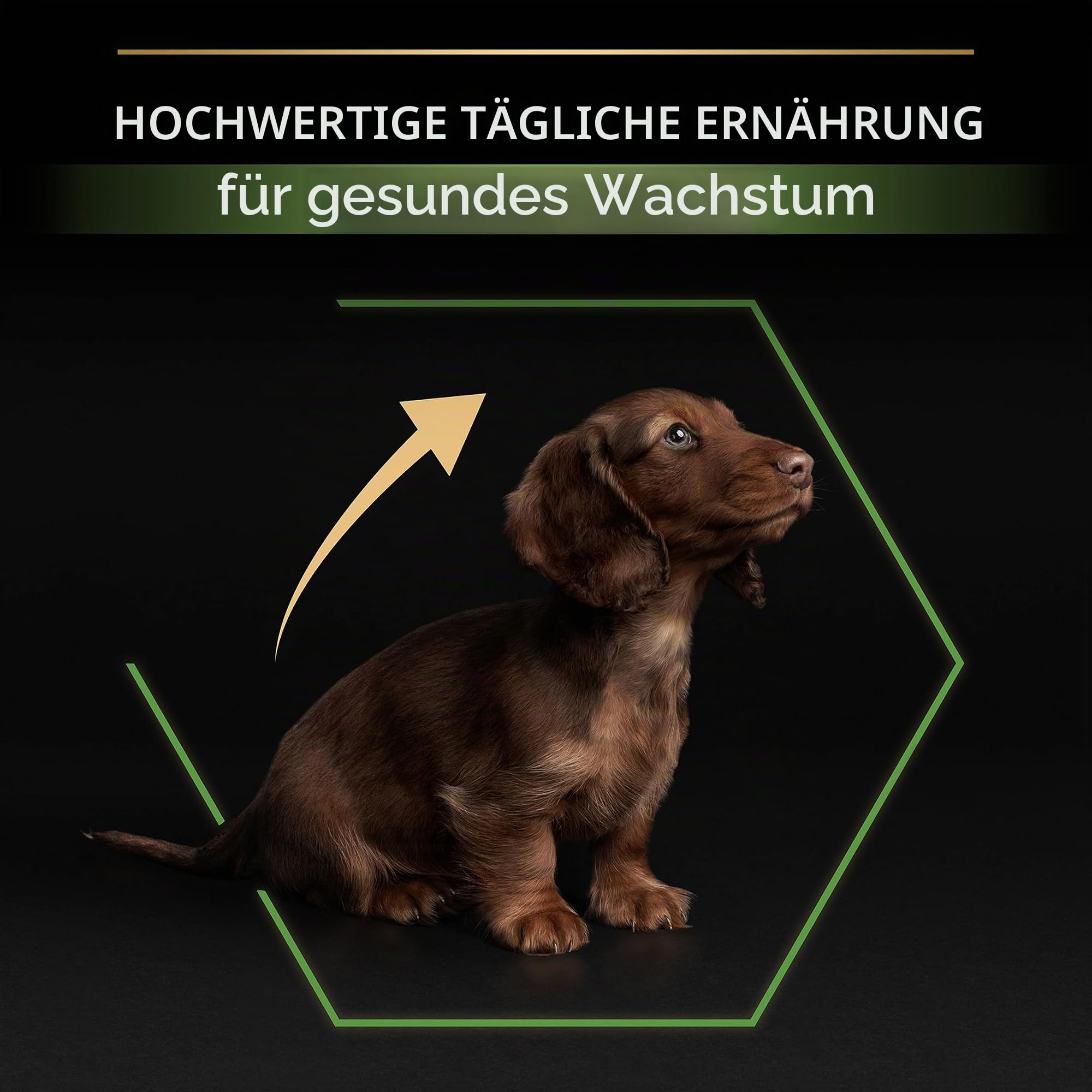 Pro Plan® Small & Mini Puppy Healthy Start Trockenfutter für Hunde mit Huhn, 7 kg