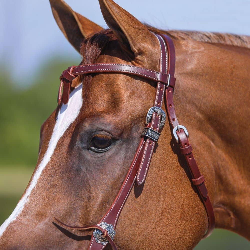 Schneiders Double S Latigo Lined Futurity Browband Headstall | Premium Horse Headgear | Soft Latigo Lining | Adjustable Size | Durable Harness Leather