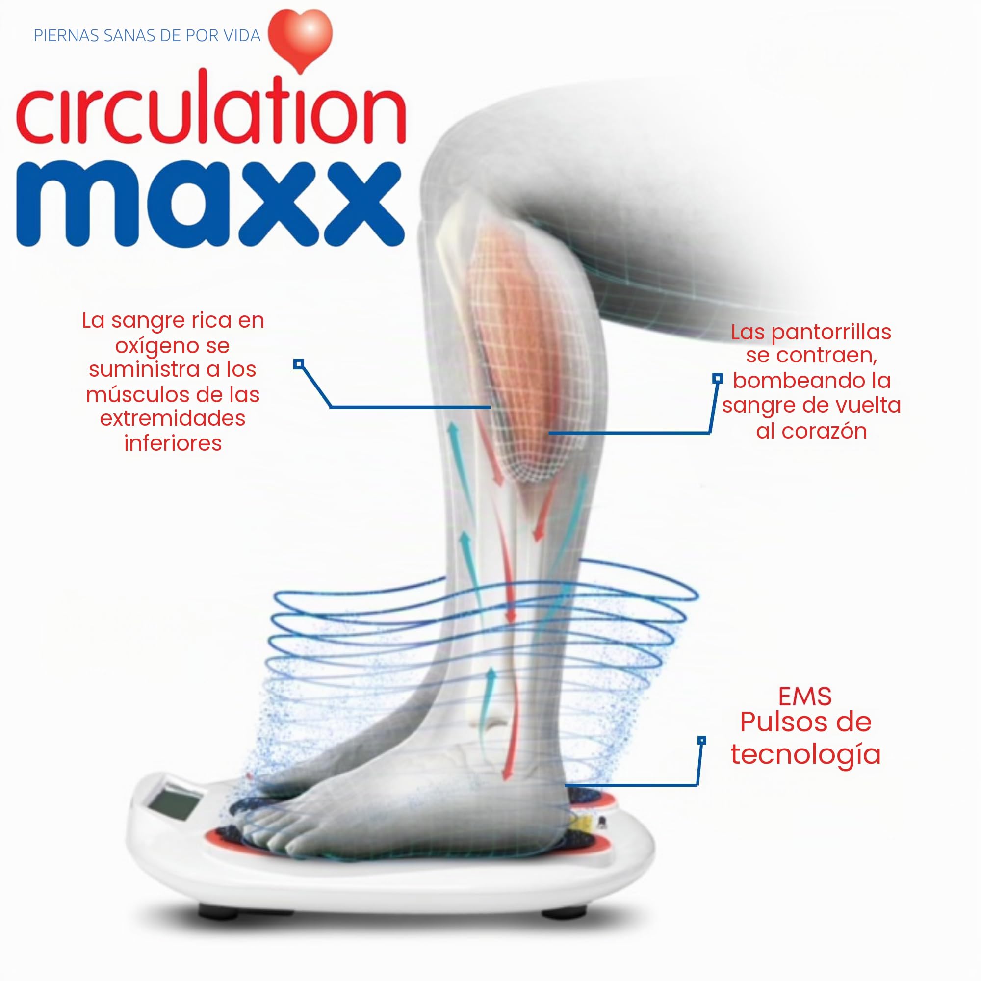 BioEnergiser ELECTROFLEX Circulación Maxx Ultra Reviver