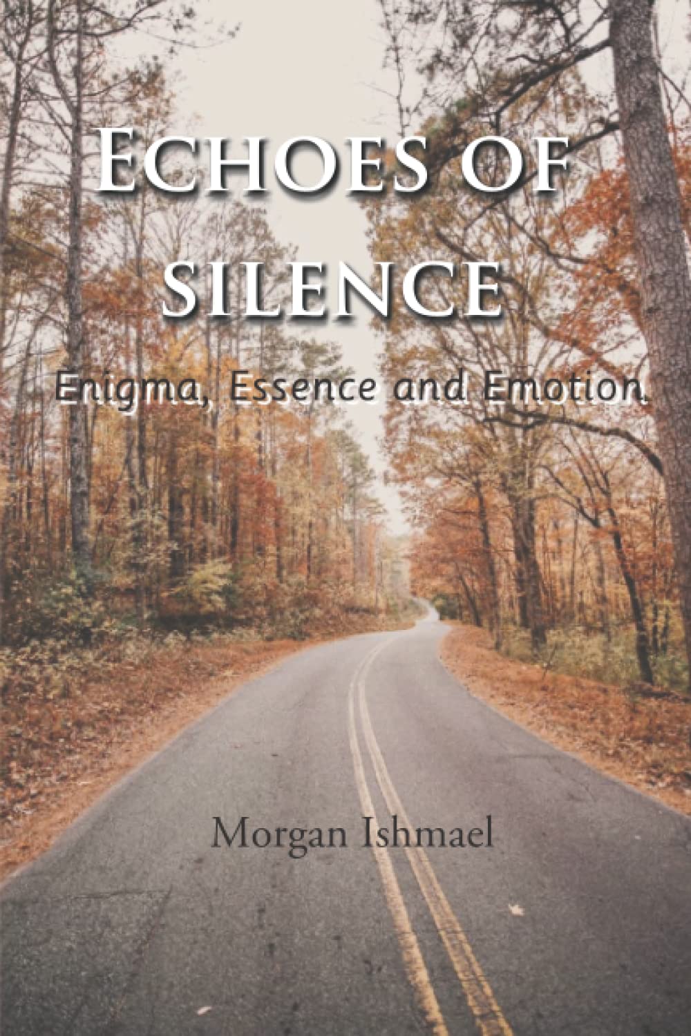 Echoes of Silence: Enigma, Essence and Emotion