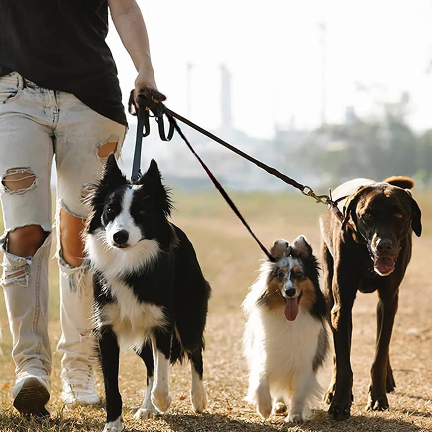 Guinzaglio per Cani, 3 in 1 Cane Guinzaglio, Guinzaglio a Tre per Cani, Staccabile in Nylon Guinzaglio Cane, 3 In 1 Multi Guinzaglio per Animali Domestici, per passeggiate, per 1, 2 o 3 Multipli
