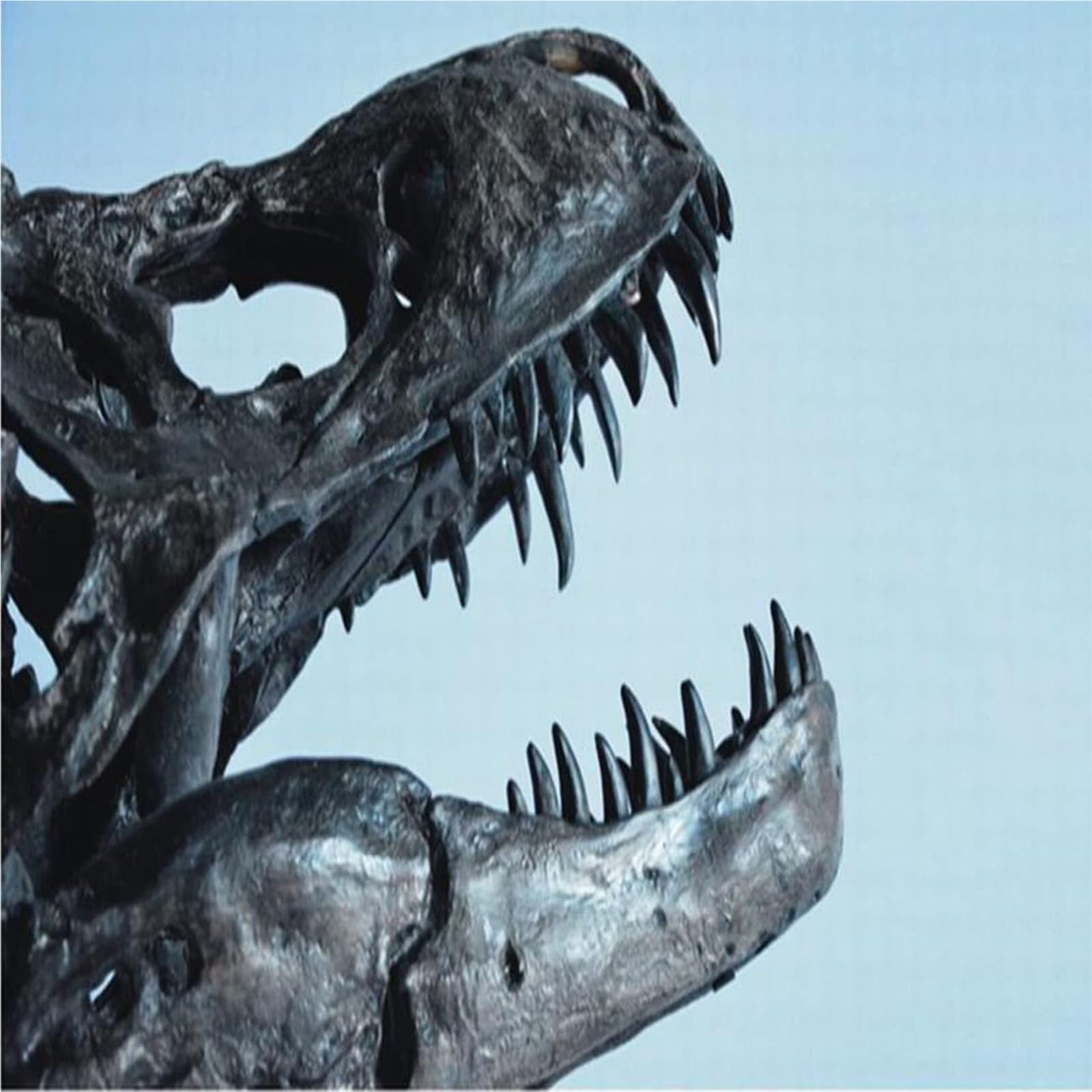 Dekoracja pomieszczenia model czaszki dinozaura ze stojakiem, skamielina, archeologia, rzemiosło, rekwizyt do nauki, zabawne akcesoria na biurko