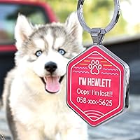 Vista 2 de Etiquetas de identificación personalizadas para perros con código QR, etiquetas de identificación para mascotas, etiquetas de identificación