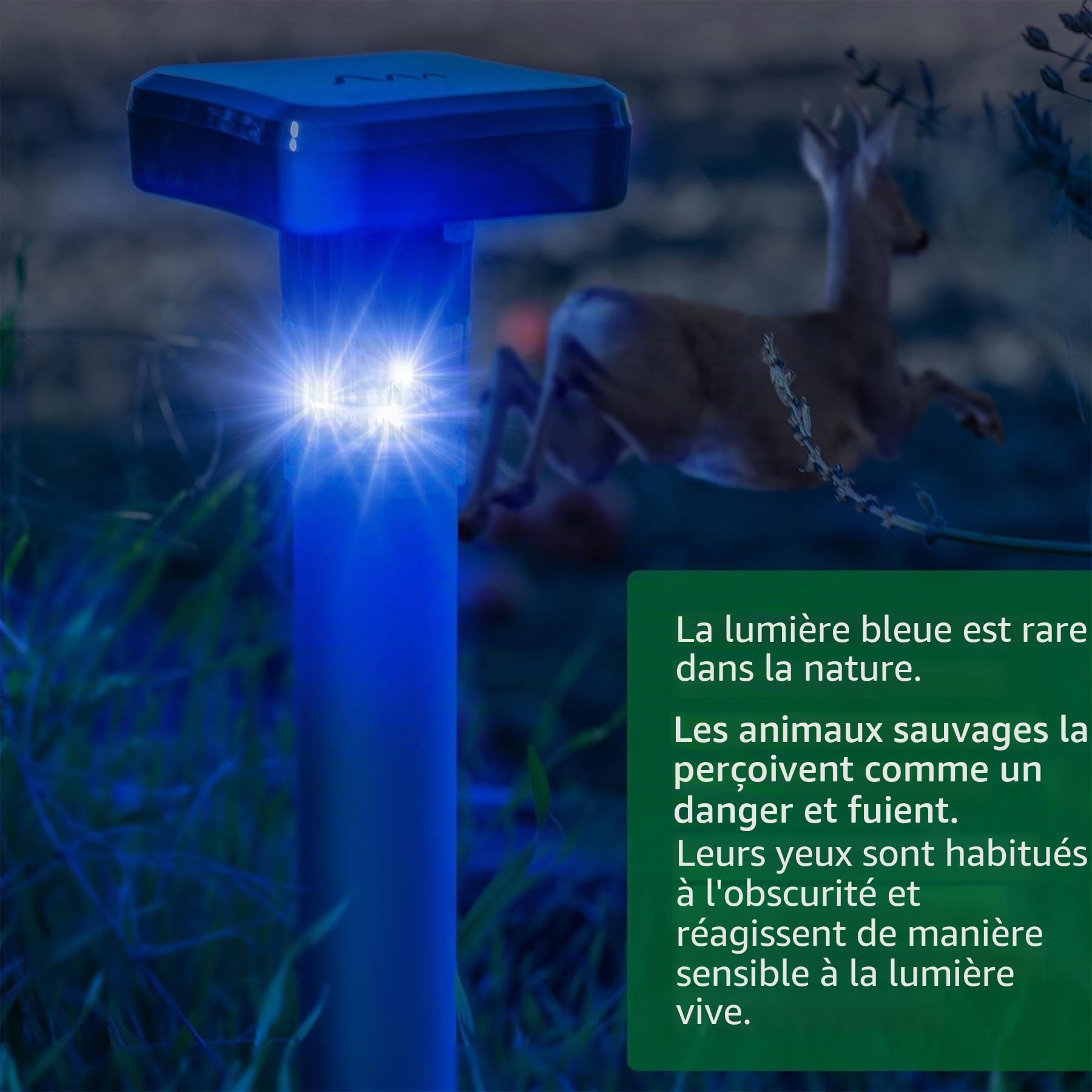 GARDIGO Répulsif Animaux Sauvages LED Bleue – Dissuasion Nocturne | Pour Sangliers, Chevreuils, Renards et Lapins – Activation Automatique – Étanche IP44 – Jardin, Cultures et Terrains