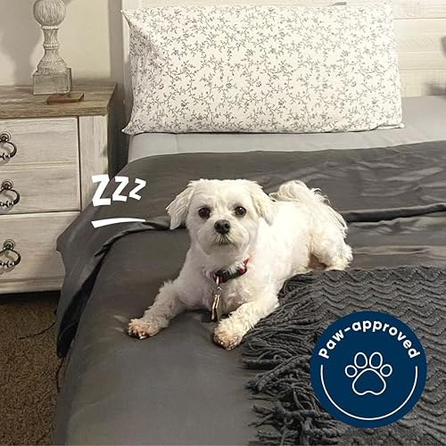 Miniatura 5 de Vesta Edredón refrescante de seda, manta ligera lavable para durmientes acalorados, seda de morera, control de humedad y calor para uso en todas las