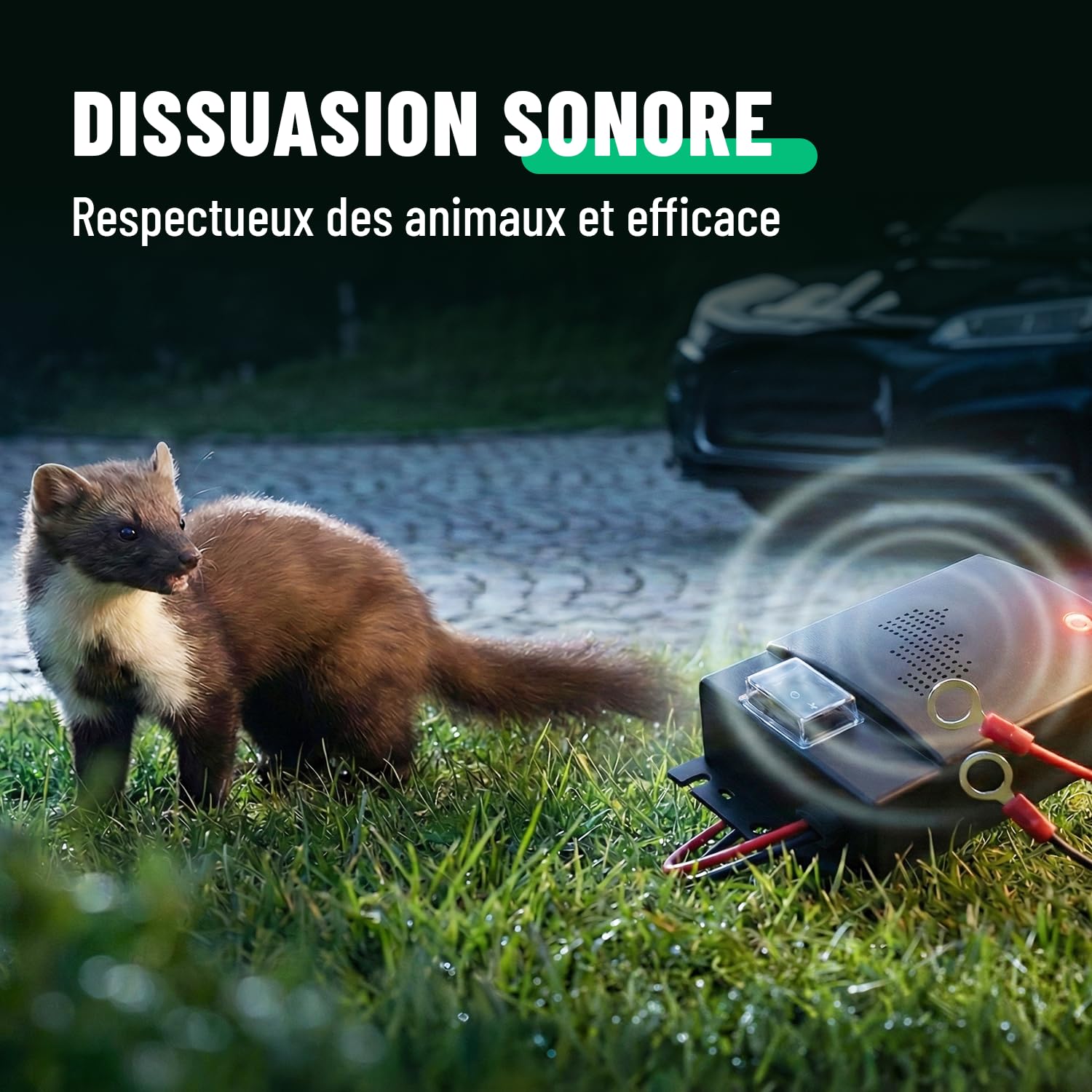 greate Repulsif Rongeur pour Voiture avec Connexion Batterie 12V - Répulsif Anti Rongeur Voiture - Ultrason Anti Fouine et Martre