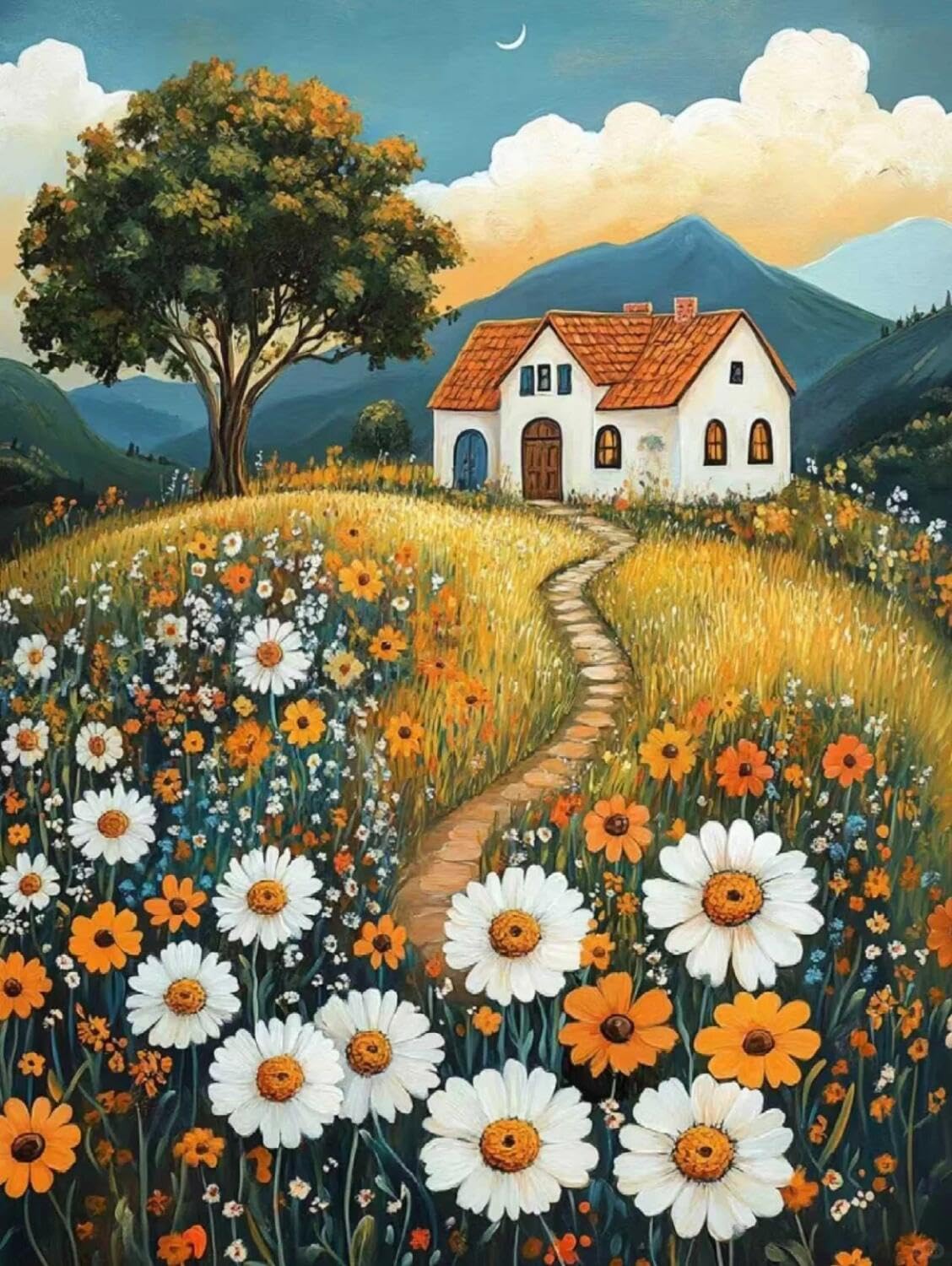 Rqwybcaxn Embroidery Beads Kit Cartoon House 40x50cm
