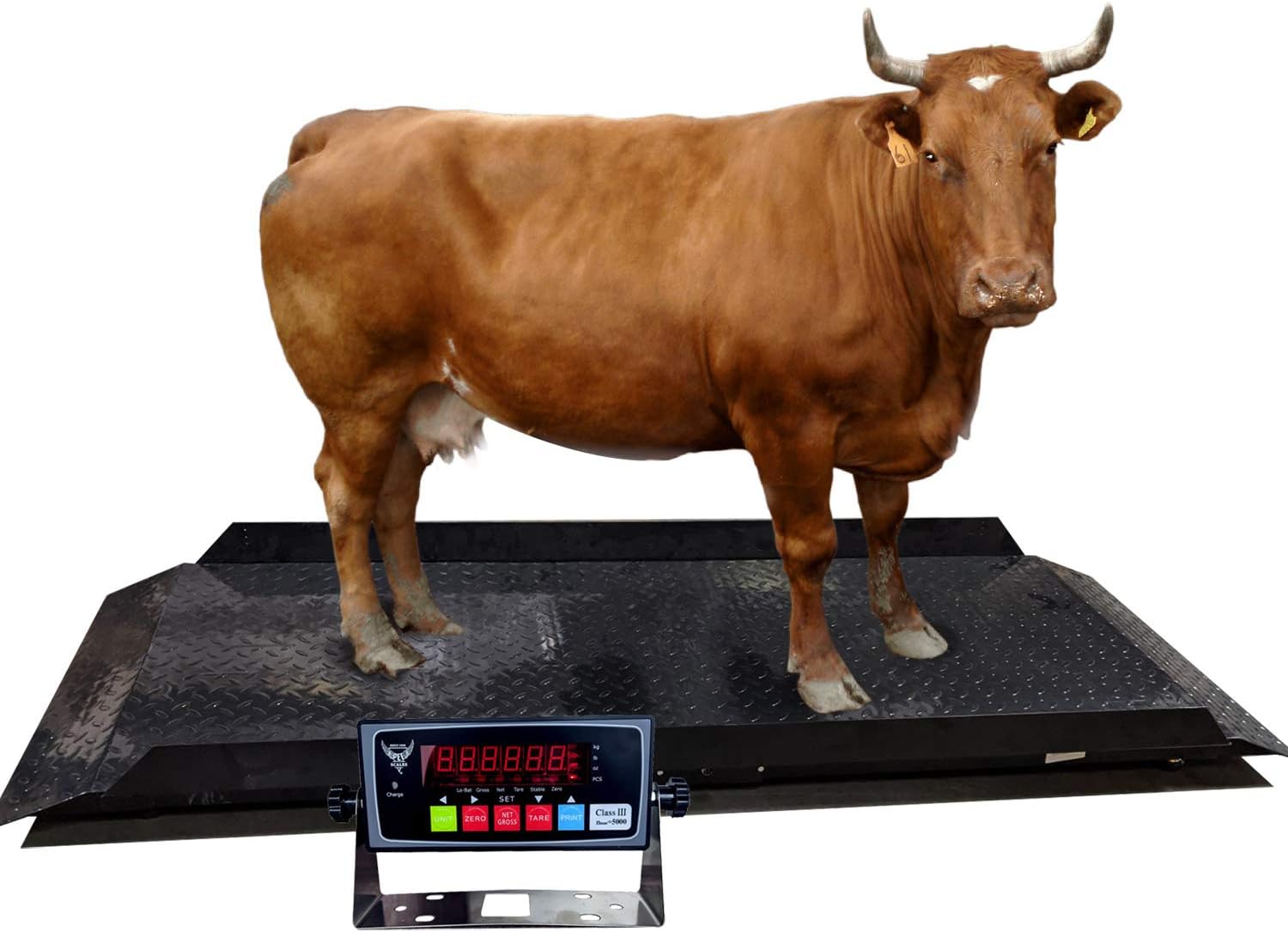 PEC Tools Heavy Livestock Scale with Digital Indicator, Veterinary Floor Scale for Weighing Cattle, Tracking Weight and Health of Large Sized Farm Animals, 4,000 LB Capacity, 84" x 30" Platform
