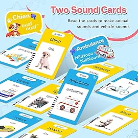 French & English Talking Flash Cards for Toddler, Learning Montessori Toys with 224 Sight Words, Speech Therapy Toys, Children\'s Sensory Preschool Learning Educational Birthday