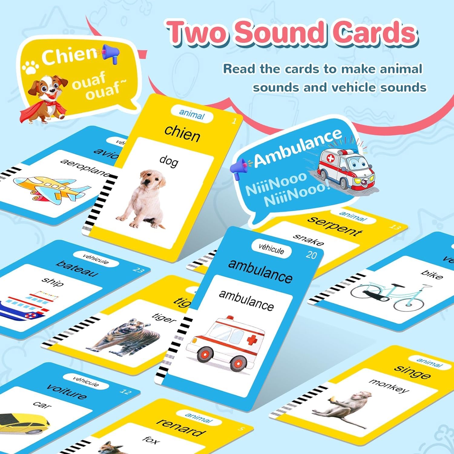 Amazon.com: French & English Talking Flash Cards for Toddler