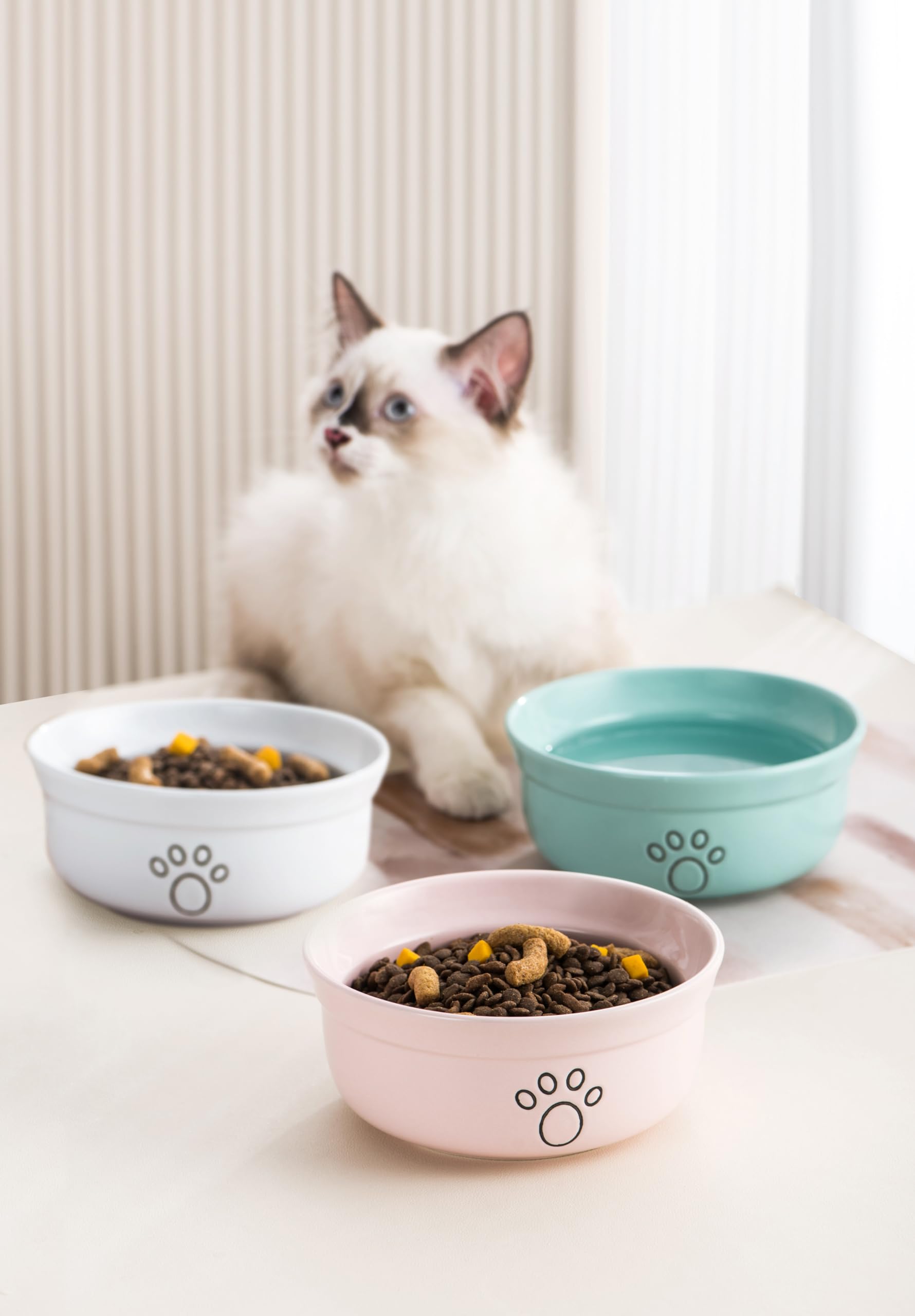 Keramik Hundenapf Hund Futternäpfe Katze Wassernapf Haustier Futternapf für Katzen und Kleine Hunde Spülmaschinenfest (6 Zoll, Weiß)