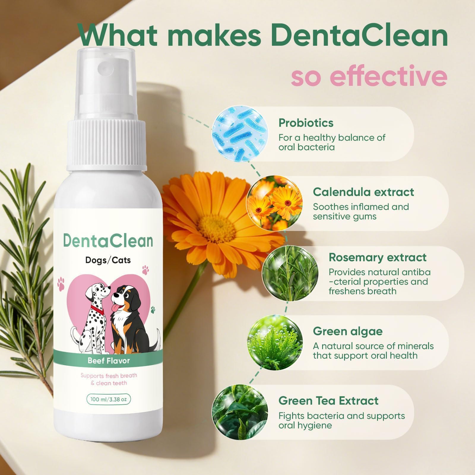Paw Guardian - Dentaclean pour Chien (1)