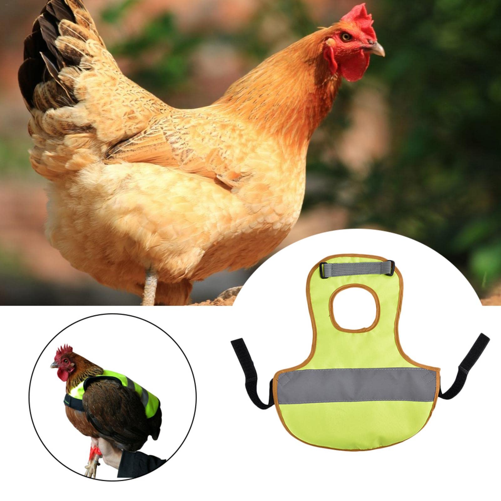 6 PCS harnais de poulet réglable avec laisse, gilet de poule confortable, harnais de dressage de poulet en maille respirante et laisse pour moins de 2,5 lb de canard de poulet | FR