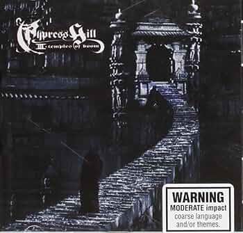 洋楽 Cypress Hill - III (Temples Of Boom) 2LP 714T8ZHxUQL._UF350,350_QL50_.jpg