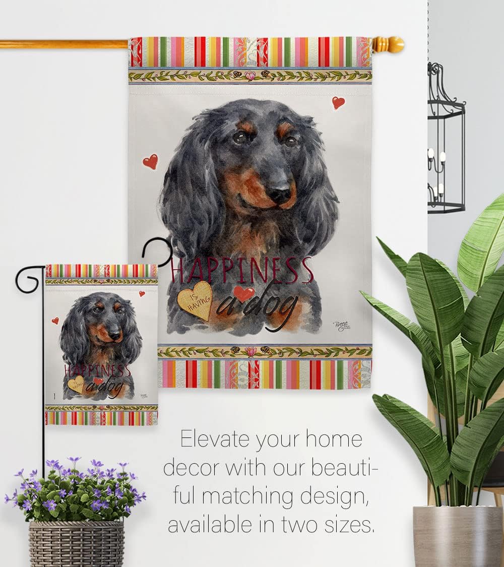 Breeze Decor Blue Long Hair Dachshund Happiness Garden Flag-Set with Stand Dog Puppy Spoiled Paw Canine Fur Pet Nature Farm Animal Creature House Banner Small Yard Gift Double-Sided, Made in USA