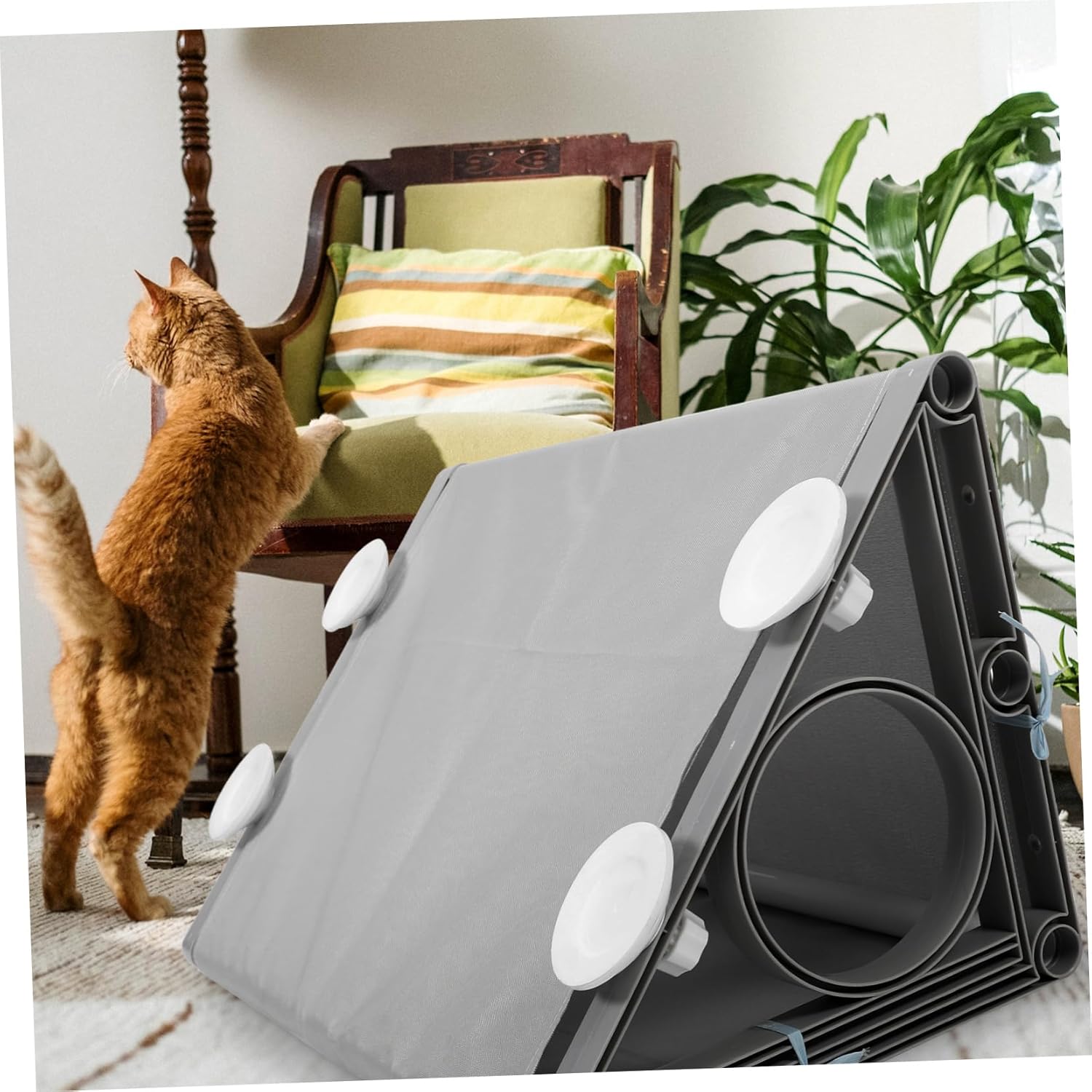 Comfortable Cat Tunnel Plaything Durable Collapsible Hideout Tent for Indoor Cats Encourages Exercise and Interaction for Playful Kittens and Adult Cats