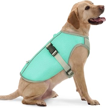 FUAMEY Cooling Dog Shirt for Hot Weather Walks, Breathable Cooling Jacket for Puppy Outdoor Play, Easy On Off Summer Dogs Vest with Adjustable Buckle, Harness Hole, Green, XL