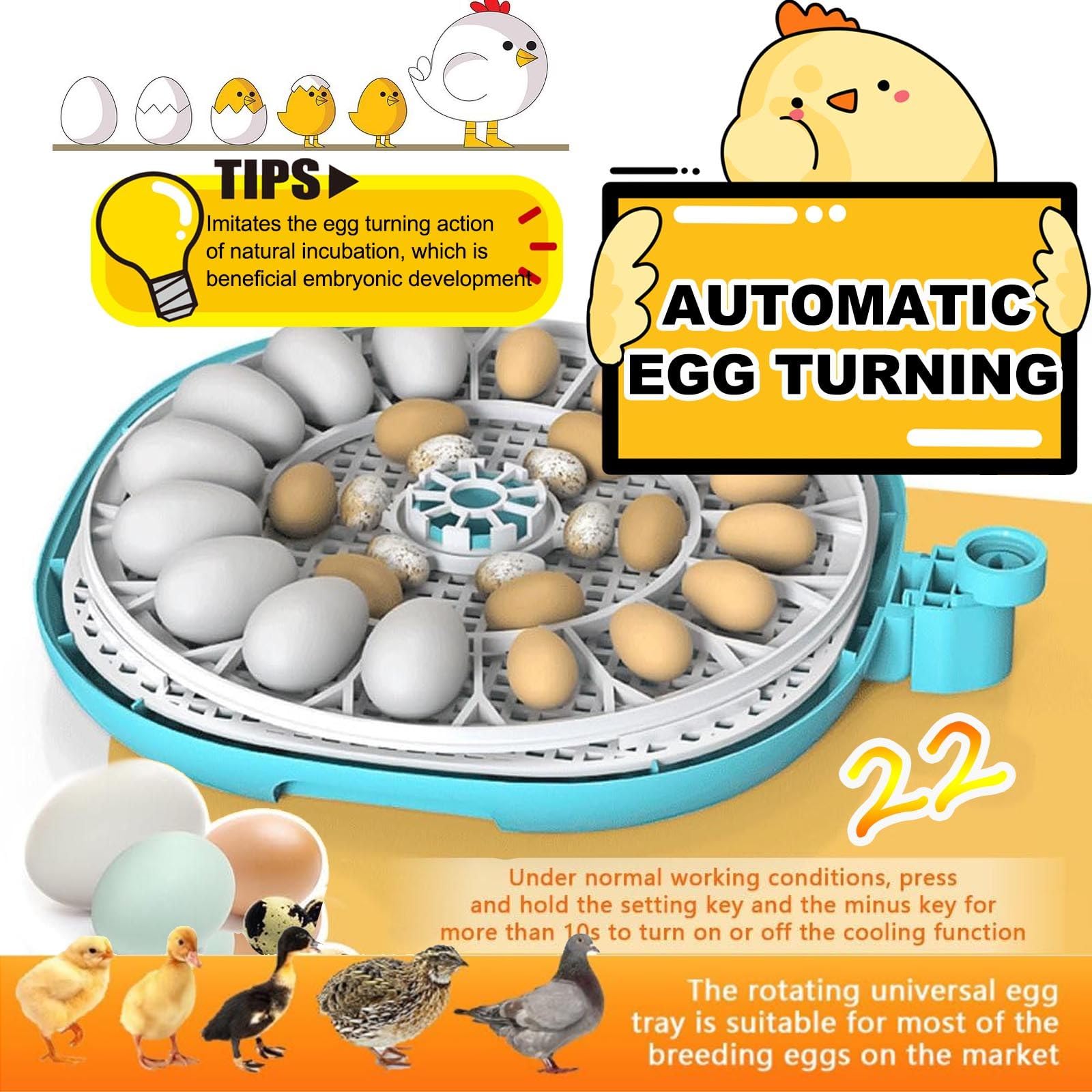 Incubadora Huevos Gallina - Incubadora AutomáTica De 22huevos Controles AutomáTicos De Temperatura Y Humedad HigróMetro Y Pantalla Led Digital, para Incubar Pollos, Codornices Y Patos