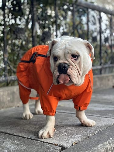 Miniatura 8 de Lovelonglong - Chaqueta impermeable para perros, ligera, impermeable, reflectante, resistente al viento, a prueba de nieve, para perros pequeños,