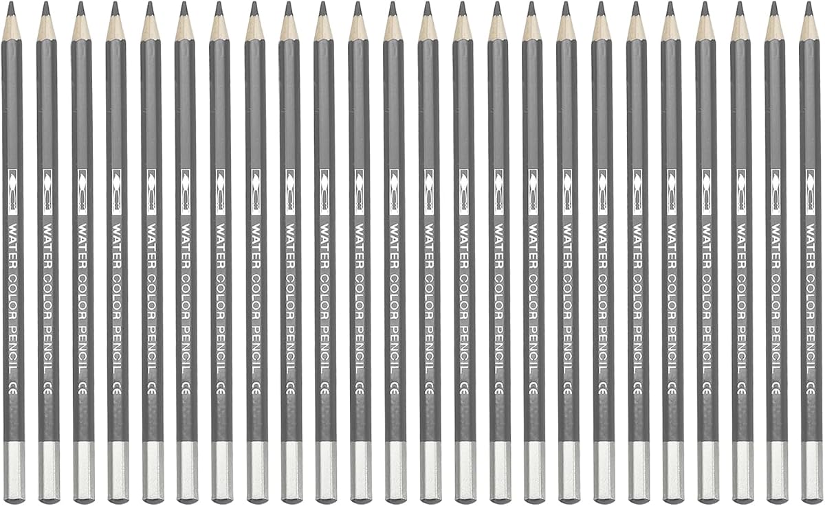 PATIKIL Watercolor Pencil, 24Pcs Water Soluble Pencils for Blending, Coloring, Sketch Drawing, Painting, Grey
