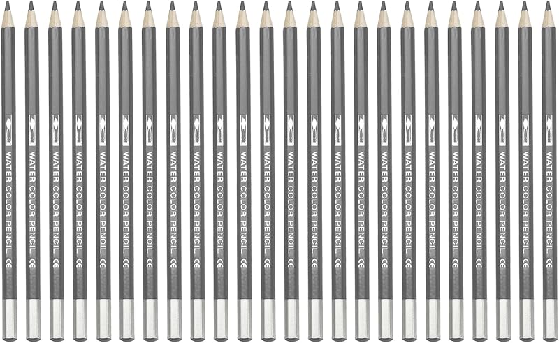 PATIKIL Watercolor Pencil, 24Pcs Water Soluble Pencils for Blending, Coloring, Sketch Drawing, Painting, Grey