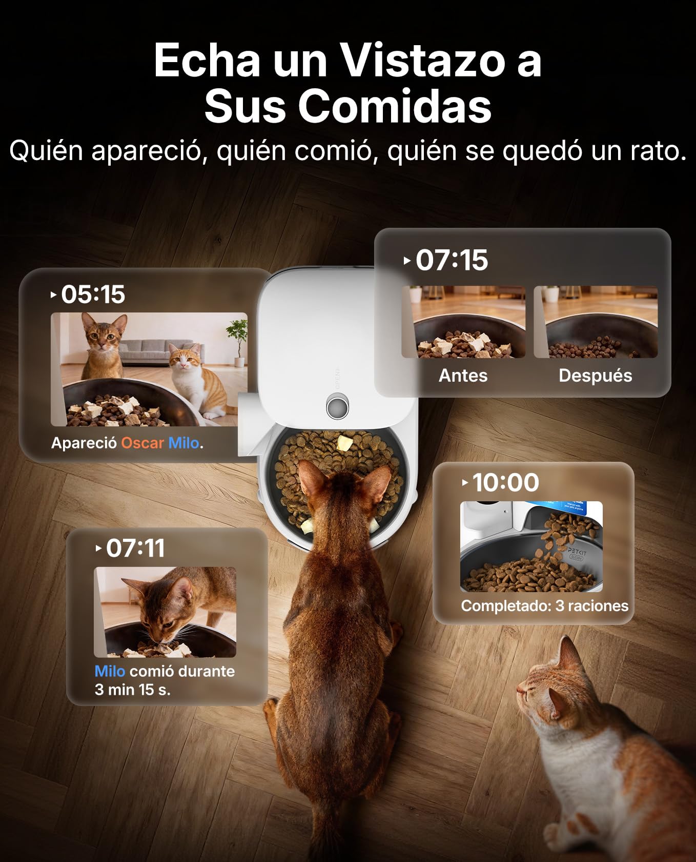 PETKIT Nuevo Comedero Gato Automatico con Cámara, Reconocimiento de Varios Gatos, 2.4G & 5GHz WiFi, 3L Dispensador Comida Gatos/Perros, 1080P HD, Función AI, App Control, Cuenco de Acero Inoxidable