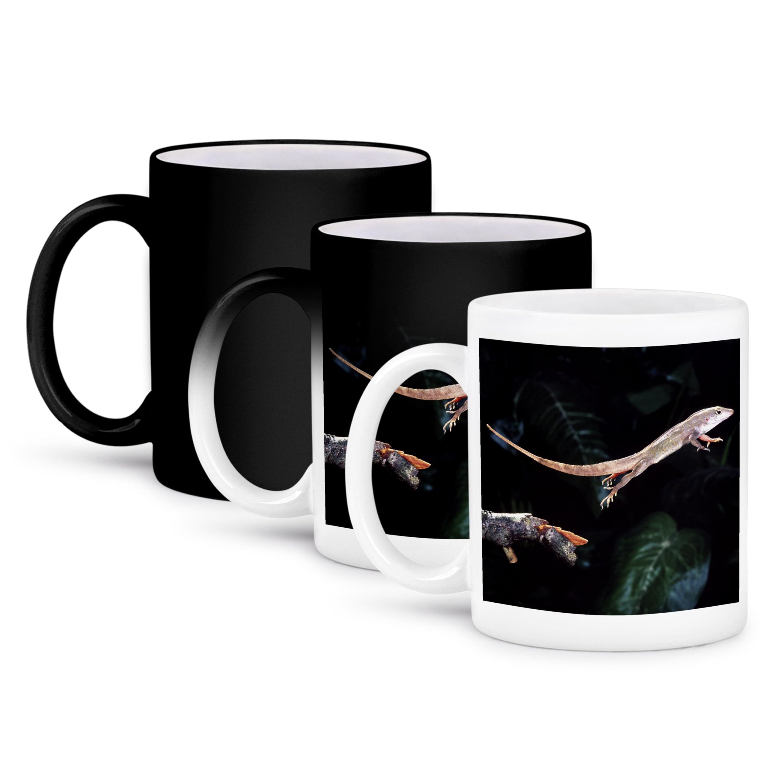 MUGSMAFIA 83866_3 Bahama Brown Anole lizard-NA02 DNO0261-David Northcott Magic Transforming Mug, Ceramic, Black/White Printed Coffee and Tea Ceramic Mug- 320 ML Ceramic Coffee Mug 2692