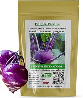 Purple Vienna Kohlrabi Seeds for Planting 1200 Seeds-5 Grams) Heirloom Non-GMO Cold-Tolerant Vegetable Seeds for Planting Outdoors in Containers or Homesteading