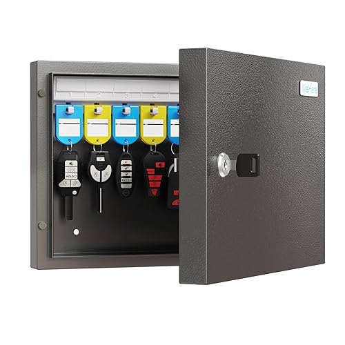 16-Key Cabinet Organizer, Key Lock Box Secured Key Holder for