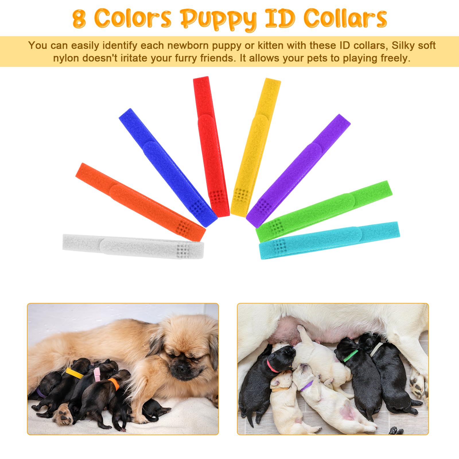 Puppy Kitten Whelping Kit Geburtshilfsmittel für Neugeborene Welpen und Kätzchen für die Haltung von Kätzchen Hunde Katzen Fütterung Sets Supplies umfasst Whelping Halsbänder Rekord