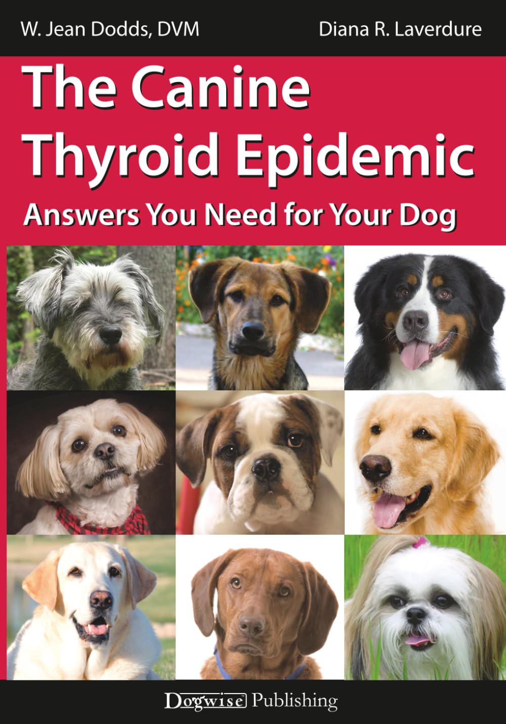 The Canine Thyroid Epidemic: Answers You Need for Your Dog
